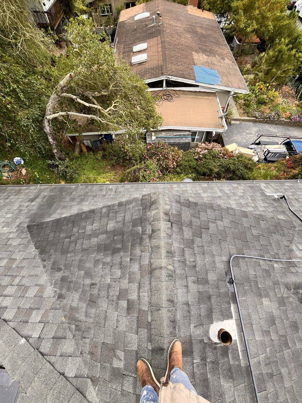 Hip section of a composition roof stained grey-black with algae before soft washing
