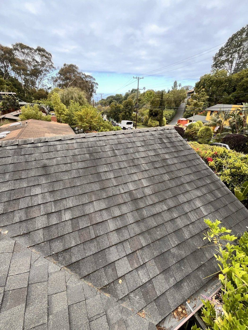 Shingle roof ridge and valley heavily soiled with algae and debris before roof cleaning