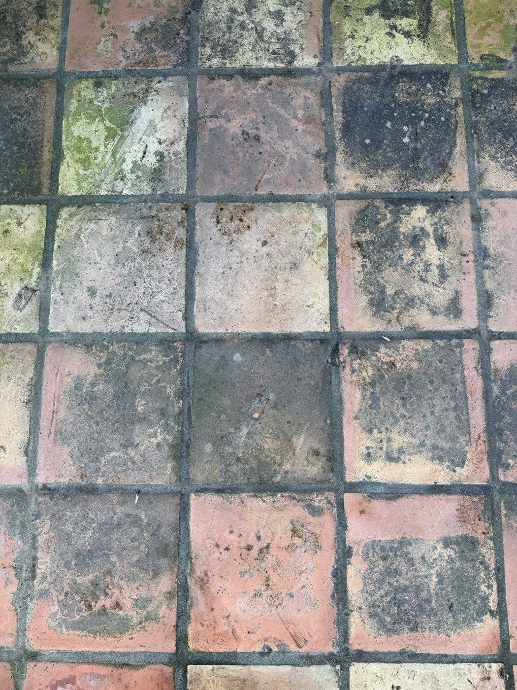 Tile Roof before cleaning by Valley Wash Pros