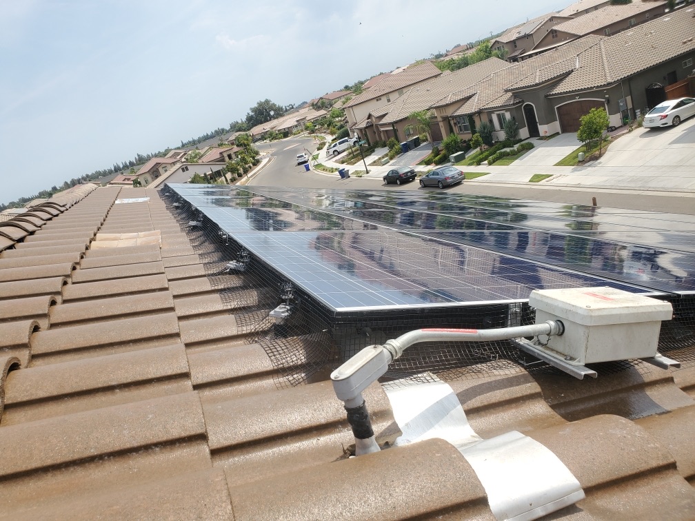 10 Reasons to Bird Proof Your Santa Clara Home