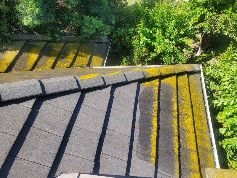 Concrete tile roof covered in yellow lichen and moss before roof cleaning