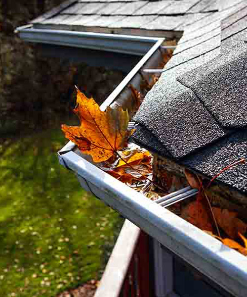 Madera gutter cleaning near me