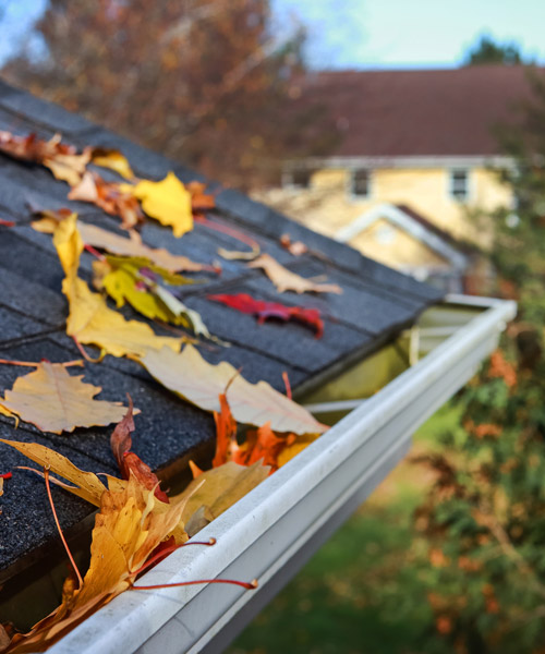 gutter cleaning Madera CA